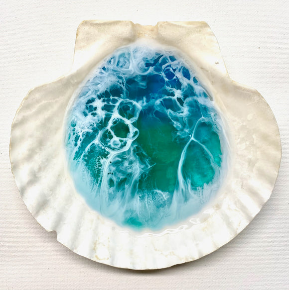 Real Seashell Dish!