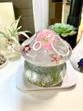 Mushroom Stash Jars